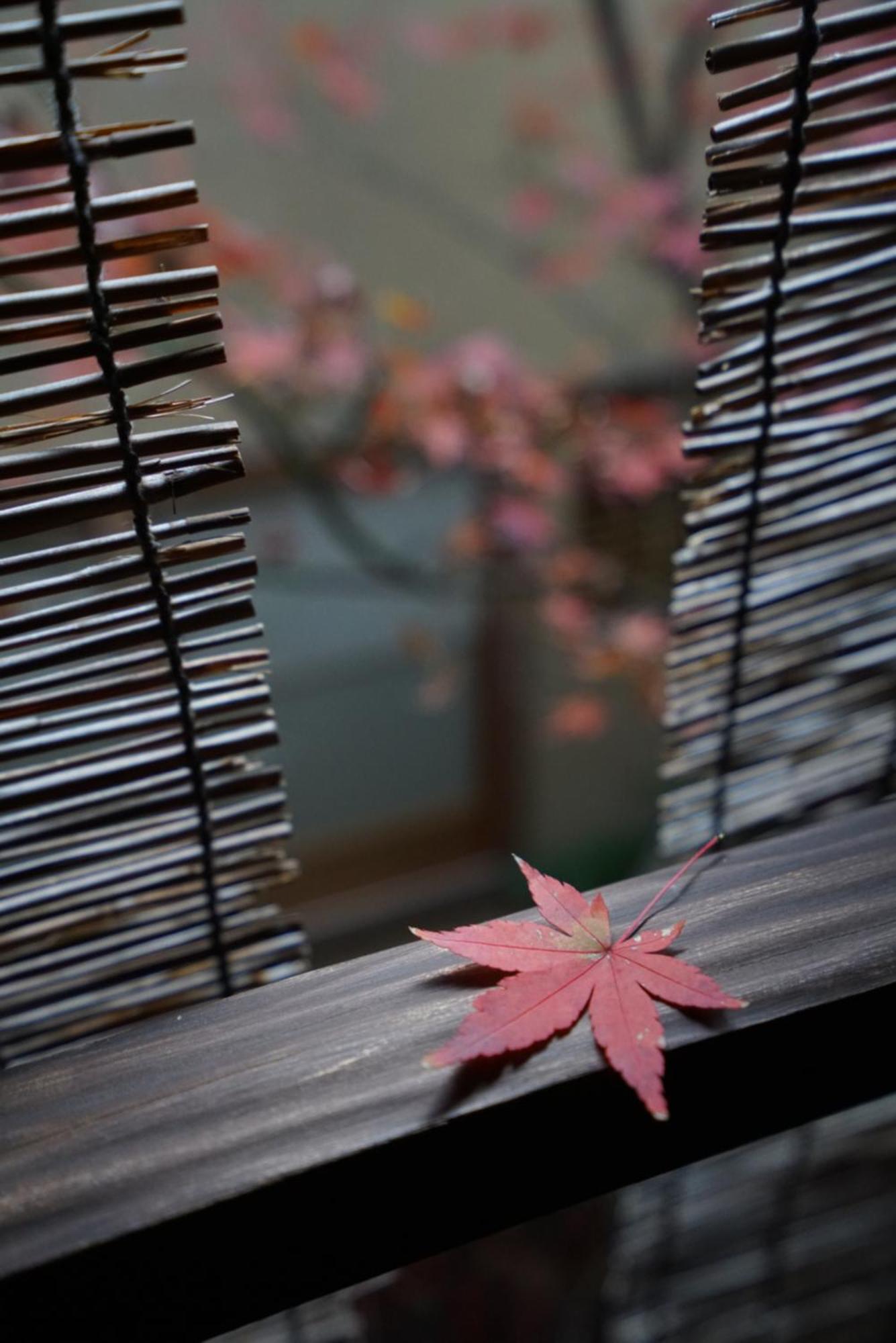 Ryokan Tori Kyoto Eksteriør bilde