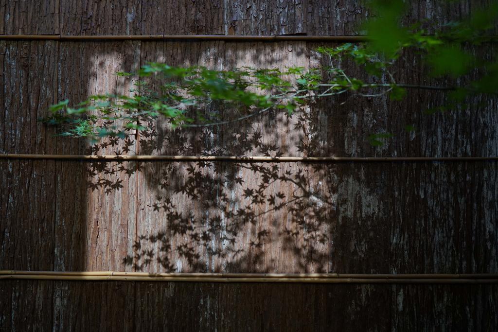 Ryokan Tori Kyoto Eksteriør bilde
